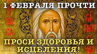 ВСЕГО 30 СЕКУНД! ПРОСИТЕ ЗДОРОВЬЯ, ИСЦЕЛЕНИЯ СЕЙЧАС! 1 ФЕВРАЛЯ - День Преподобного Макария Великого