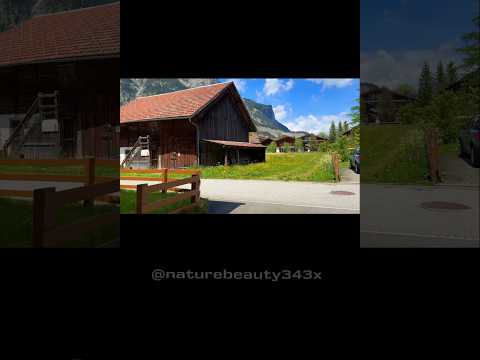 Natural Views Of