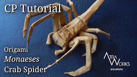 Origami Monaeses Crab Spider | How To Read Crease Patterns Full Tutorial | One Square Paper No Cuts