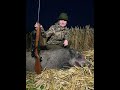 Wildboar hunting in the field metsapoole s3e3