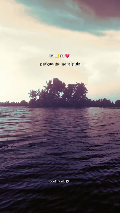 Vandhaale minnal mozhiye ❤️💐✨aagasa veeran❤️love song❤️WhatsApp status#trending#love#fyp#soulbeatz13