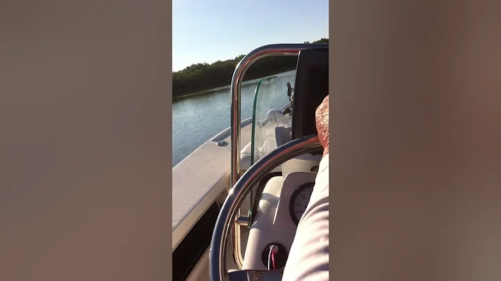Randy Stratton River Run
