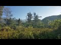 Morning in Ainaro, Timor Leste. Surrounded by mountains, the calming sounds of the town waking up.