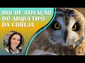 ARQUÉTIPO DA CORUJA | Animal de Poder | Autoestima, Conhecimento, Dopamina e Sabedoria | 639Hz