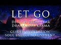 Soul Energy Alignment | LET GO of Fear, Drama & Karma | Guided Meditation Activation | Deep Healing