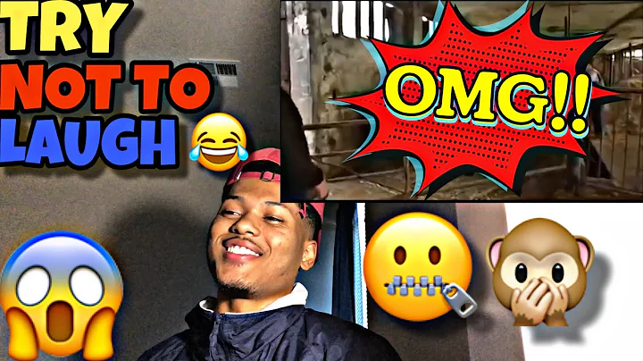 NEARLY IMPOSSIBLE Try Not To Laugh [Part 6] CLEAN Reaction