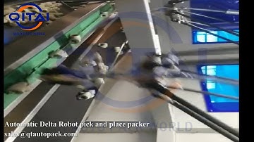 Delta Robot Pick and place packer for LESSO/carton erector/box erector/case erector/box sealer