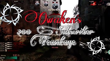Owaken - 200 Subscriber TeamTage (Teamtage #9)