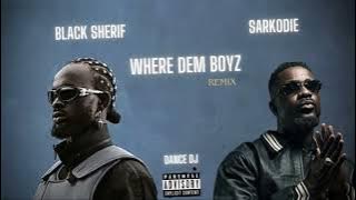 BLACK SHERIF FT SARKODIE- WHERE DEM BOYZ | DANCE DJ