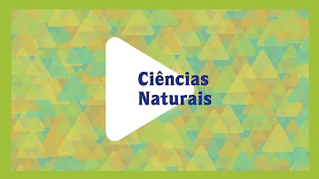 O que são os astros do Sistema Solar?
