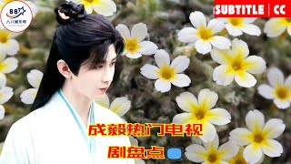 成毅热门电视剧盘点📺