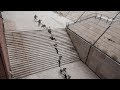 Front flip down the 25 set of stairs  This front flip pulled by freerunner  Dominic Di Tommaso down the 25 set of stairs is next level insane! Aaron  Jaws Homoki has