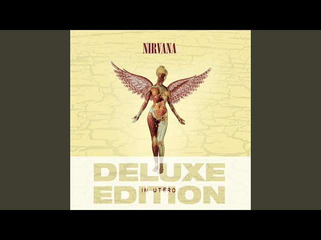邦楽 Nirvana Limited Edition Interview Disc Nirvana – Interview Disc & Fully Illustrated Book – CD