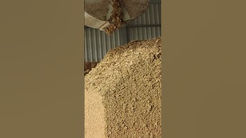 Lely Vector–“Lely Vector verhoogt voer efficiëntie met exacte rantsoenen en automatische voerrondes”