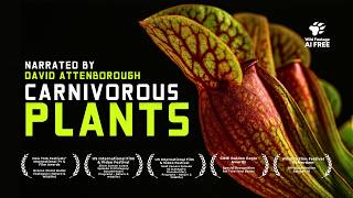 David Attenborough unveils the Plants that Kill | 4K Nature Documentary