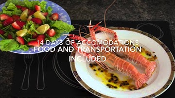 Rio 2016, Ludic Zouk trip