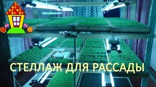 Стеллаж для рассады с подсветкой своими руками