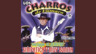 Video thumbnail of "Los Charros de Lumaco - Un Nuevo Amor"