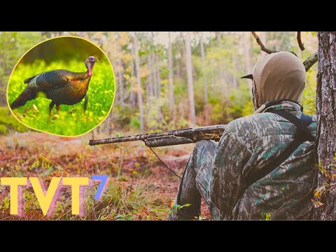 LEARNING WHEN to be FAST and WHEN to be SLOW... The HARD WAY - North Carolina Turkey Hunting