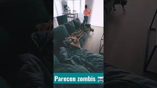 Franchute Bulldog Or Zombies