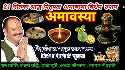 🕉21 सितंबर श्रद्धा पितृपक्ष अमावस्या विशेष उपाय|| #pradeepmishra #श्राद्धपक्ष 🙏