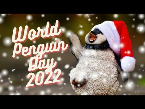 world penguin day 2022