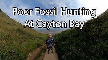 Poor Fossil Hunting At Cayton Bay