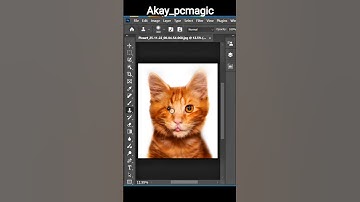Unlock the Magic of Clone StampTool in Photoshop! 2026 Easy Tutorial