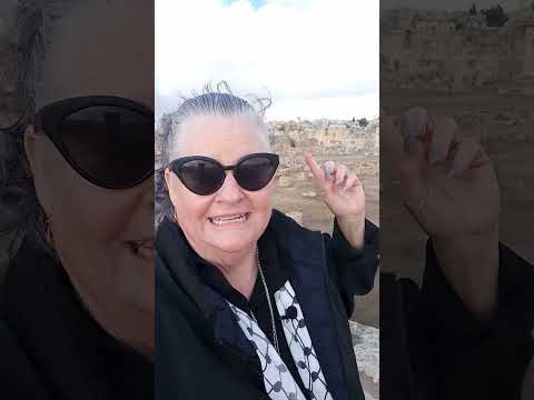 What are you going to see at the Amman Citadel  - Umayyad Palace @julescruisecompanion #amman #petra Video Thumbnail