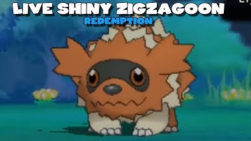 LIVE SHINY ZIGZAGOON AFTER 107 HORDE ENCOUNTERS -  Pokemon Omega Ruby/Alpha Sapphire Highlight