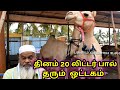 ஒட்டகம் வளர்ப்பு | Indian Camel