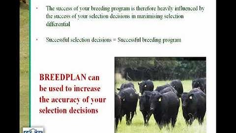 Performance Recording with Breedplan