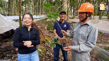 Lên Vườn Sâm Ngọc Linh ở Tu Mơ Rông Kon Tum cùng A Già Làng Tây Nguyên ăn bữa cơm có 1 không 2