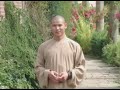 Shaolin temple uk  authentic san shou