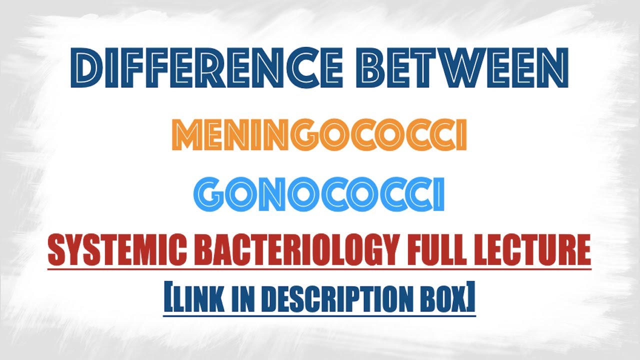 How Do You Differentiate Neisseria Gonorrhoeae And Neisseria Meningitidis?