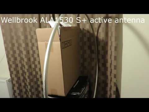 MLA-30 vs Wellbrook