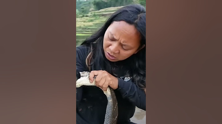 dede inoen kegigit king cobra
