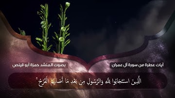 آيات من سورة آل عمران - حمزة أبو قينص الأثر الطيب