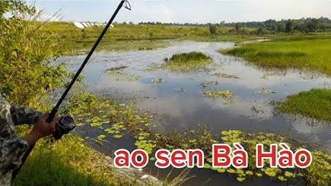 Săn Cá Lóc Đen - đập Bà Hào nước dâng khủng khiếp.