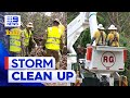 South-east Queensland storm damage could take years to repair | 9 News Australia