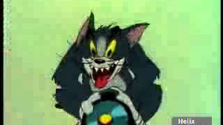 3GP AMR NB 10,2kbps MPEG4 117kbps 25fps QVGA