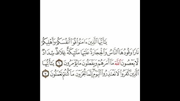 سورة التحريم 3 القسم الثالث تكرار كيفي من .. يا أيها الذين آمنوا قوا أنفسكم  .. إلى .. كنتم  تعلمون
