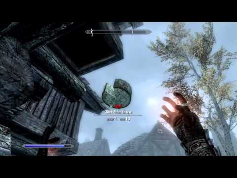  to decorate your house in Skyrim (how to get things to stay in place