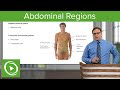Abdominal Regions – Anatomy | Lecturio