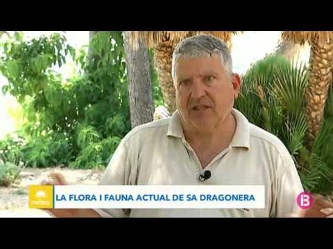 La flora i fauna de Sa Dragonera