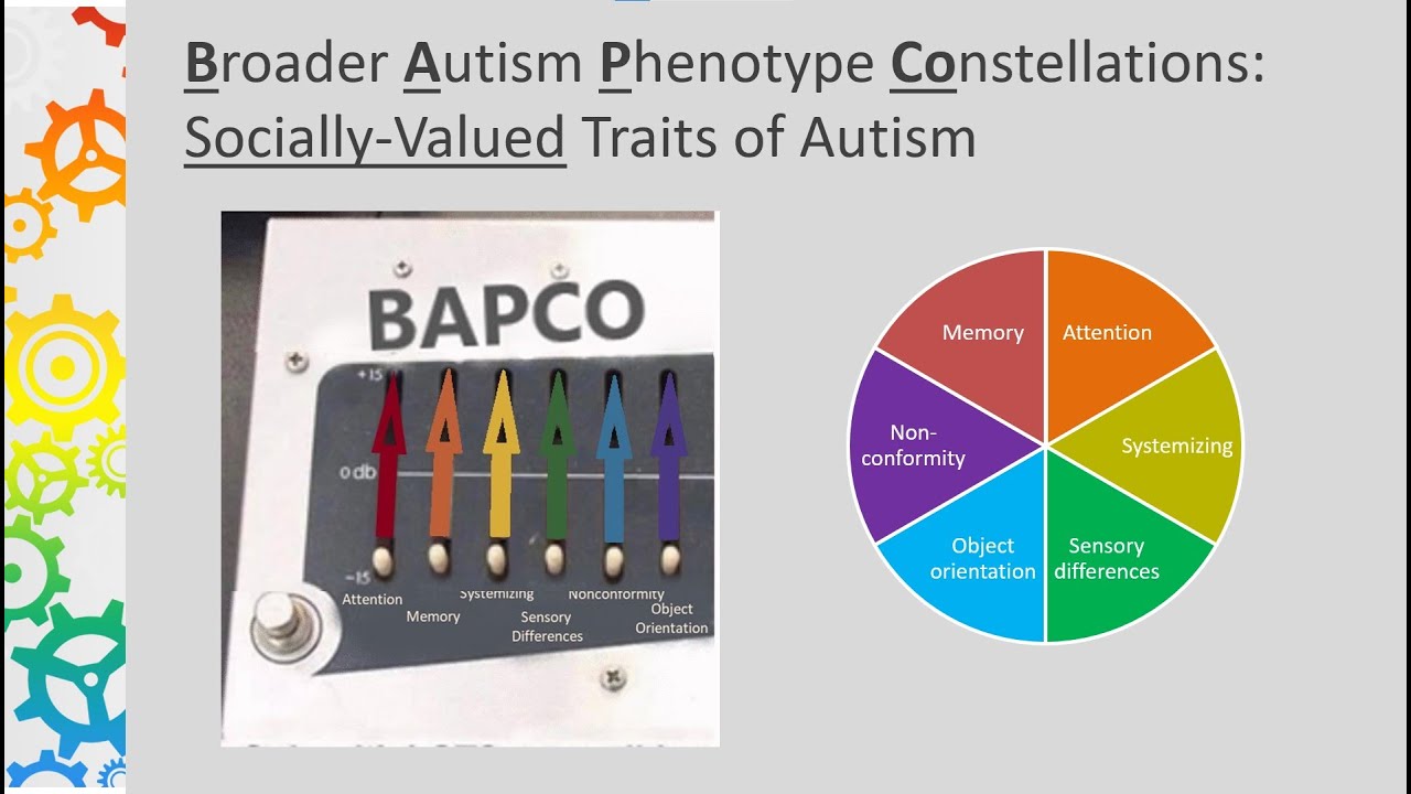 Broader Autism Phenotype Constellations Disability Matrix Paradigm