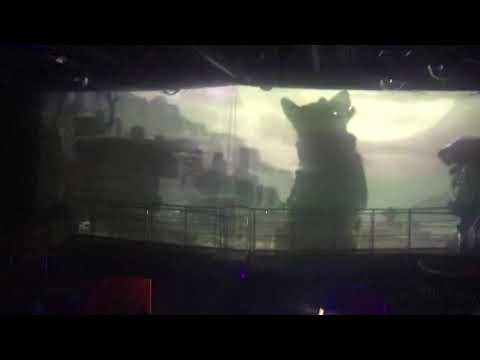 Coco Bongo Los Cabos 10