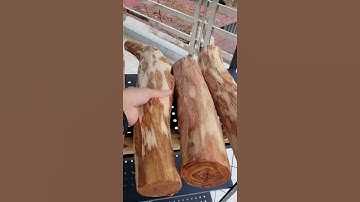 GỖ SƯA BẮC 20 NĂM TUỔI