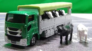 ロングトミカ　家畜運搬車　ギガ　改造 ロングトミカ 家畜運搬車 ギガ 改造 - メルカリ