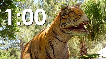 1 Minute Dinosaur Timer | 1 Minute Timer